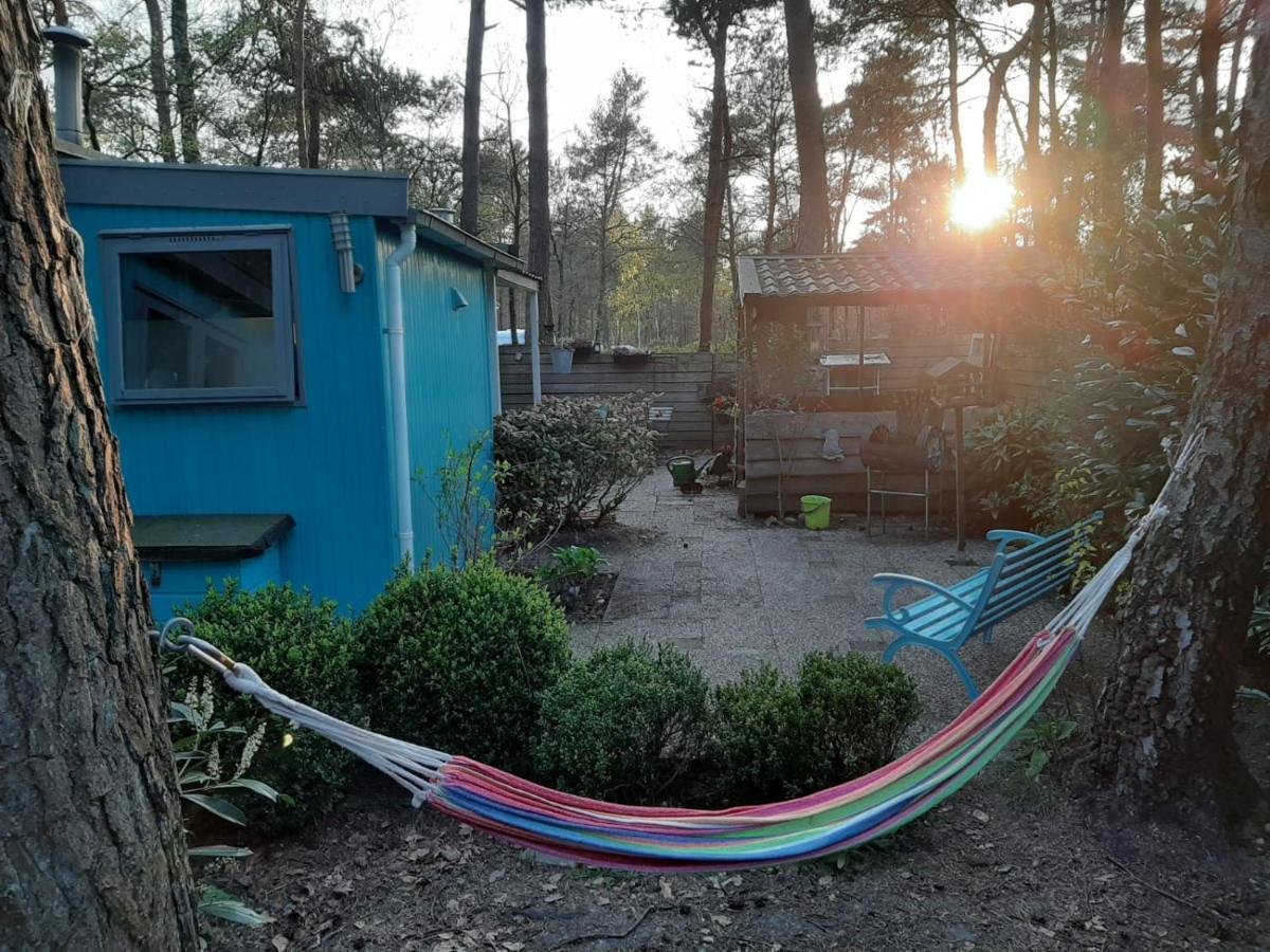 Boshuis Turquoise / Smaakvol Genieten Op De Veluwe Hoenderloo Eksteriør billede