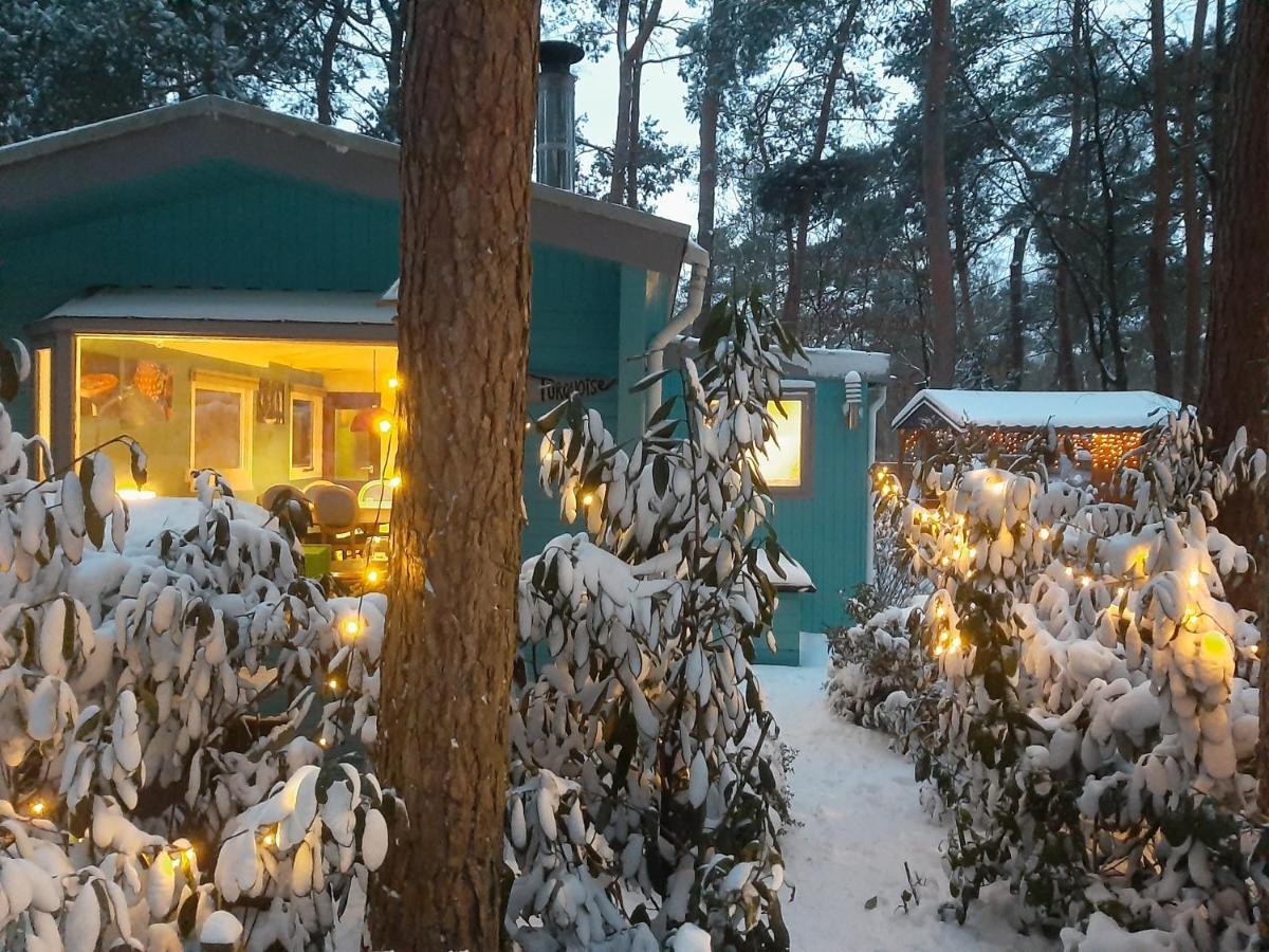 Boshuis Turquoise / Smaakvol Genieten Op De Veluwe Hoenderloo Eksteriør billede