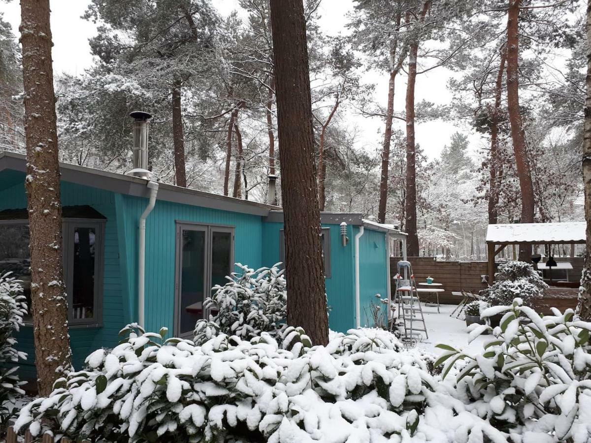 Boshuis Turquoise / Smaakvol Genieten Op De Veluwe Hoenderloo Eksteriør billede