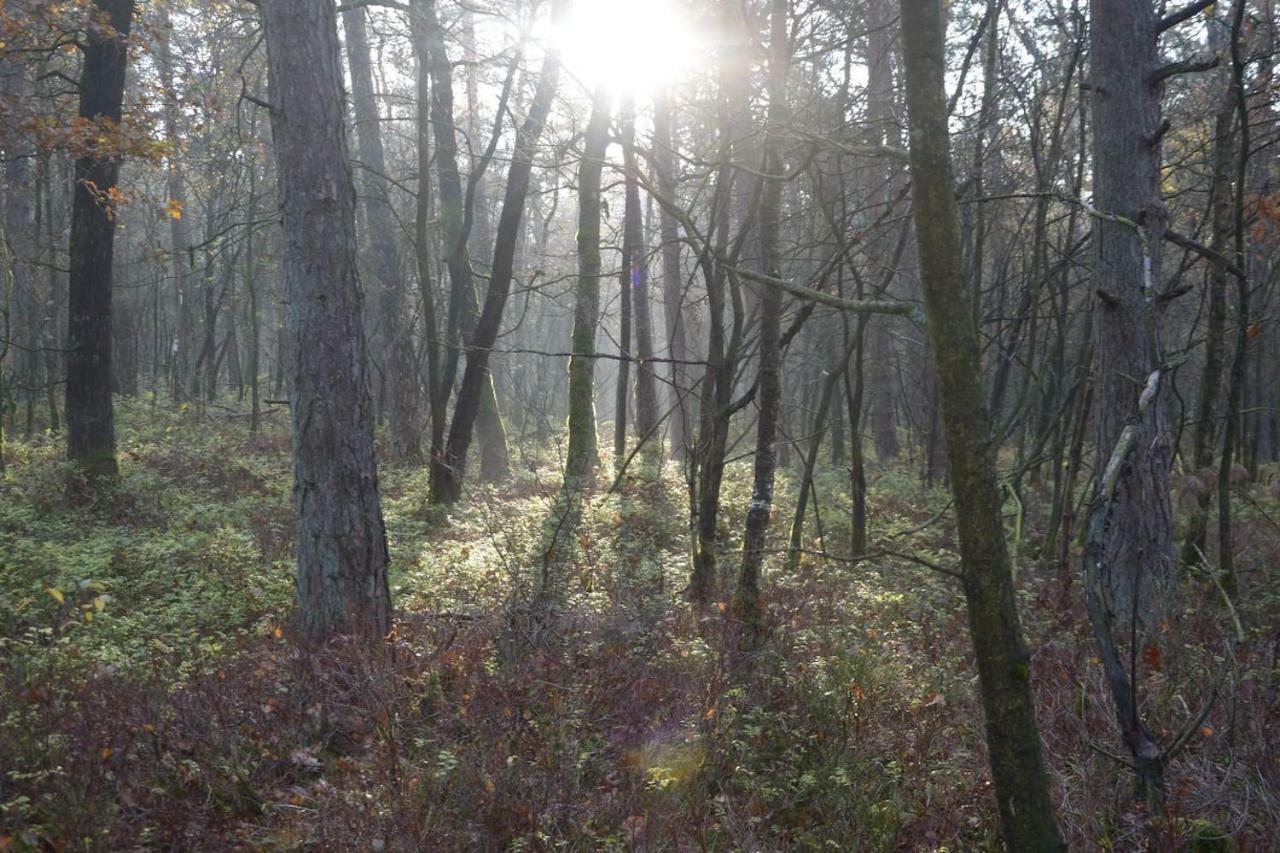 Boshuis Turquoise / Smaakvol Genieten Op De Veluwe Hoenderloo Eksteriør billede