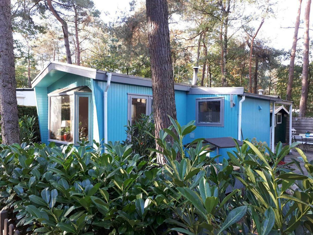 Boshuis Turquoise / Smaakvol Genieten Op De Veluwe Hoenderloo Eksteriør billede