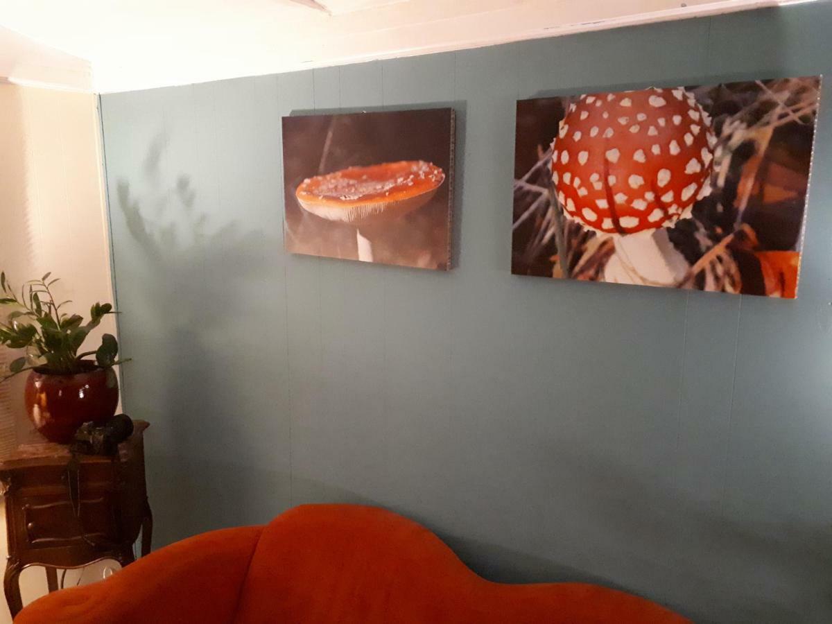 Boshuis Turquoise / Smaakvol Genieten Op De Veluwe Hoenderloo Eksteriør billede