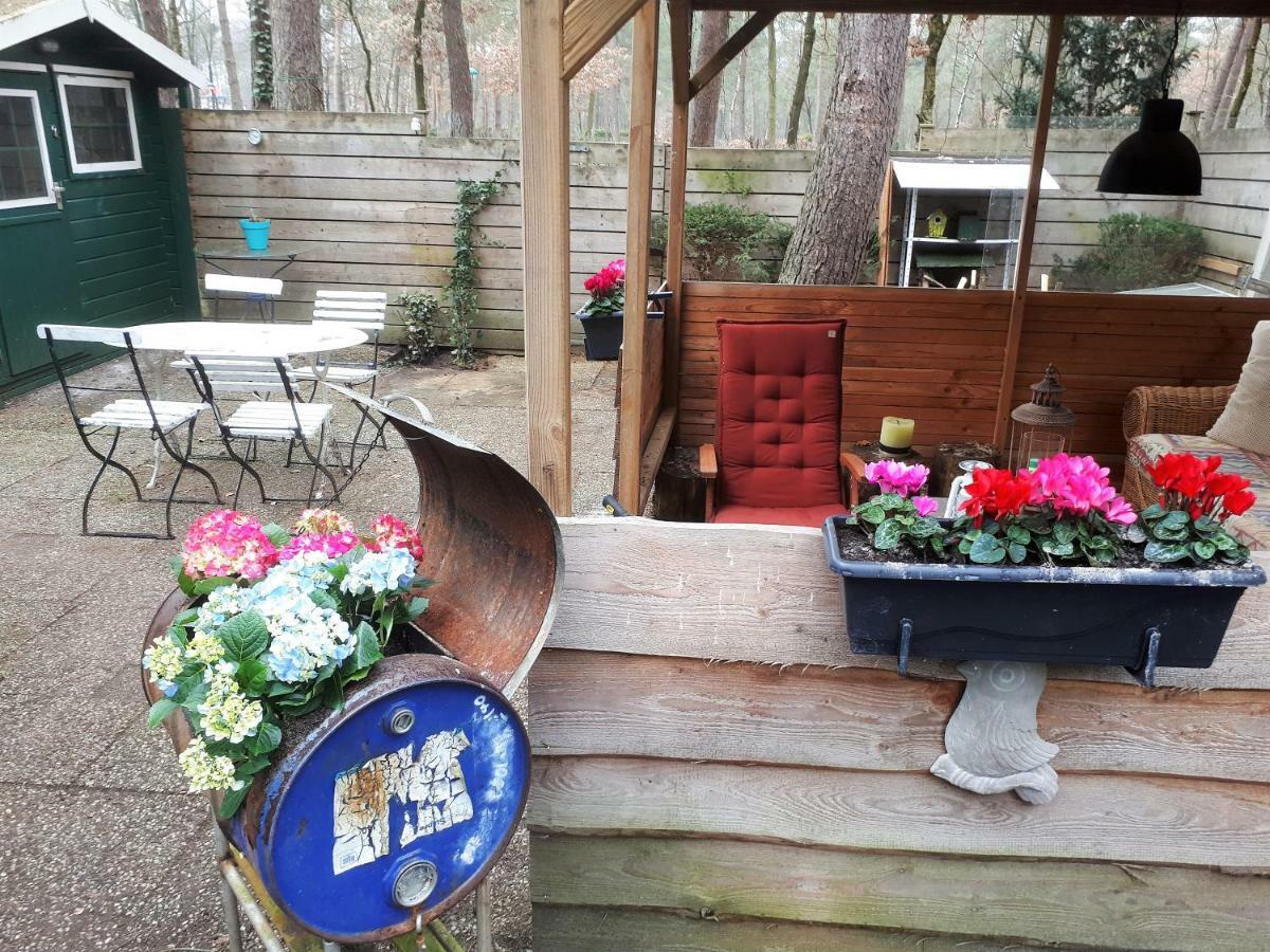 Boshuis Turquoise / Smaakvol Genieten Op De Veluwe Hoenderloo Eksteriør billede